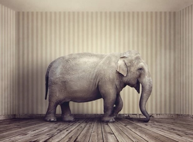 The Elephant in the Room: 40% of UK Households Can’t Go Green